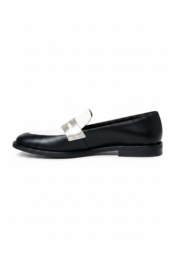 Audrey | Women's Monochrome Pointed Toe Classic Loafers