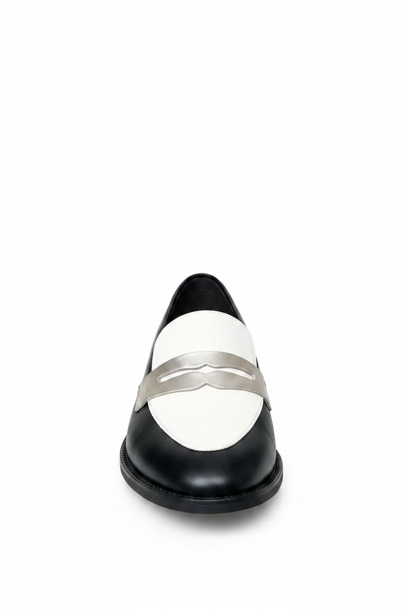 Audrey | Women's Monochrome Pointed Toe Classic Loafers
