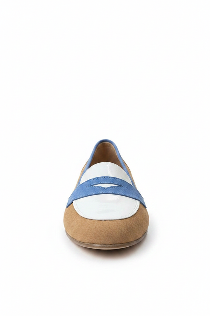 Delia | Women's Color Block Pointed Toe Loafers