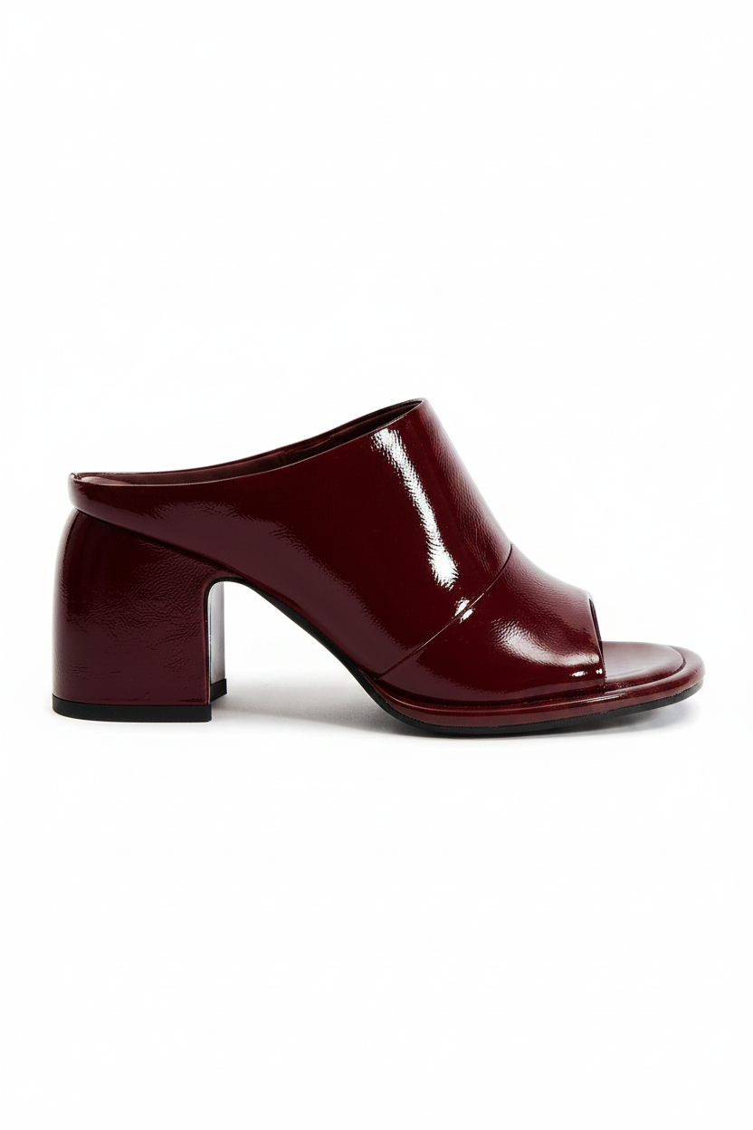 Kelly | Women's Ankle Strap Block Heel Pumps in Wine