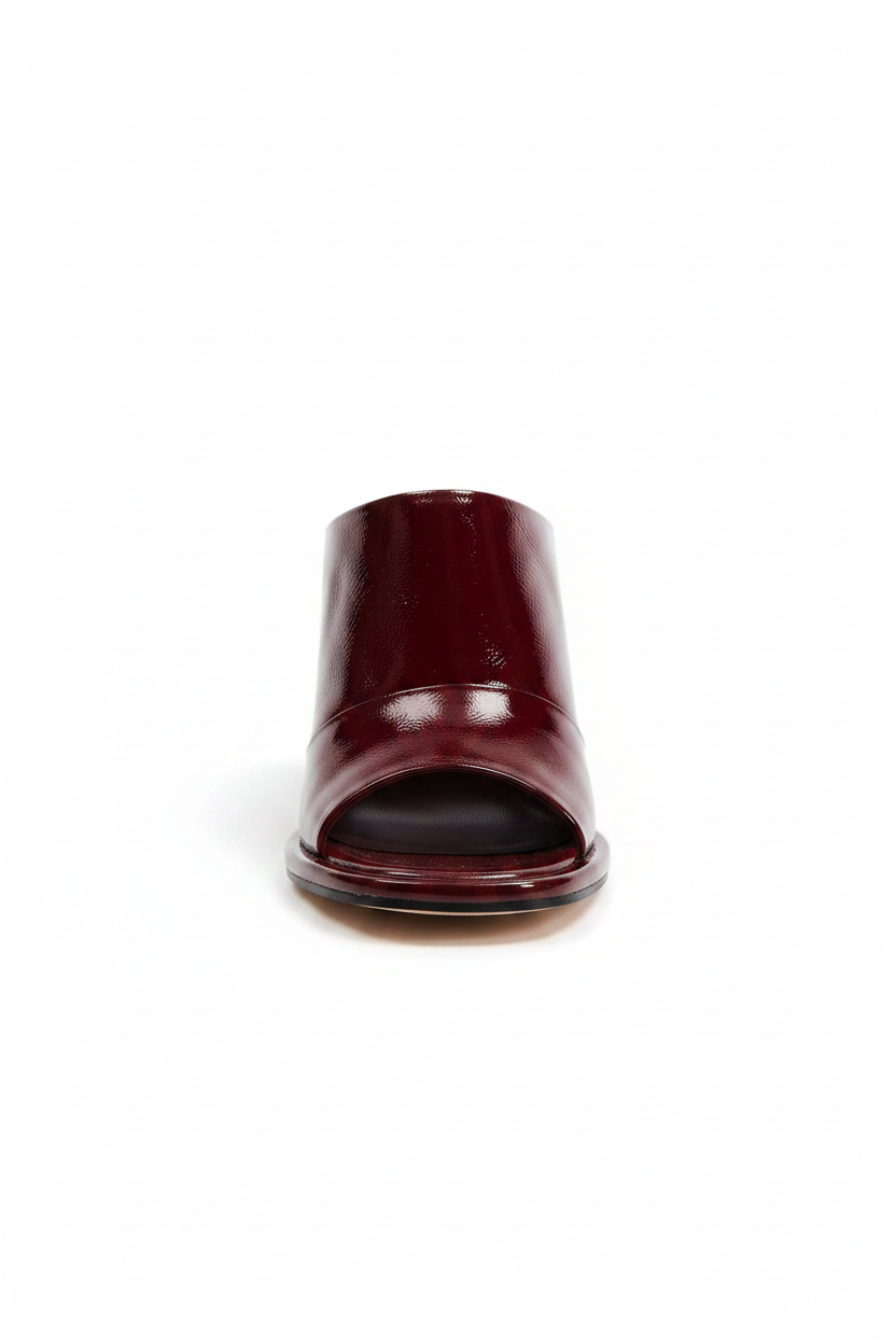 Kelly | Women's Ankle Strap Block Heel Pumps in Wine